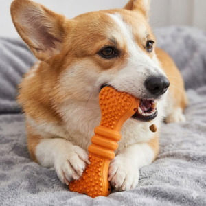 Dog Dental Chew Sticks & Bones – Daily Plaque & Tartar Control for All Sizes
