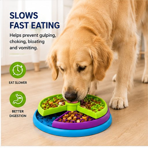 3-in-1 Anti-Choke Slow Feeder Bowl & Lick Mat for Dogs & Cats - Image 4