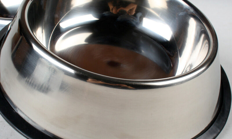 Classic Stainless Steel Pet Bowl – Durable Food & Water Bowl for Dogs & Cats