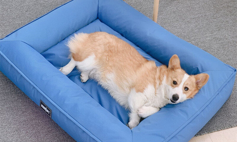 Fully Removable & Washable Dog Kennel Mat | Waterproof Summer Cooling Pad for Dogs